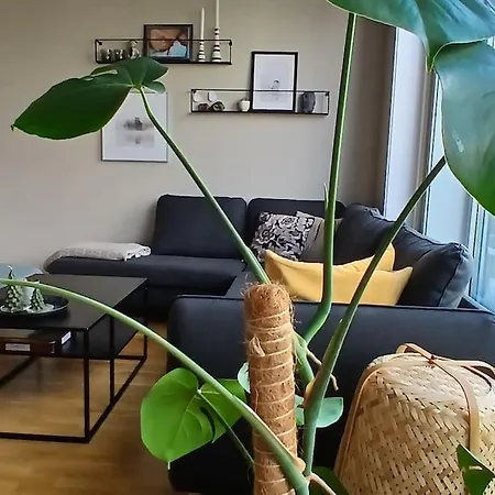 Apartment In *